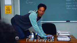 abed-sexy-cat.gif