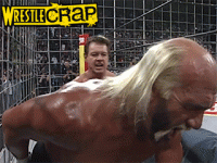 ageinthecage-12.gif