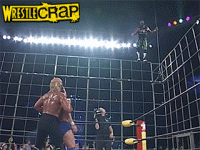 ageinthecage-24.gif