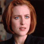 17.gif