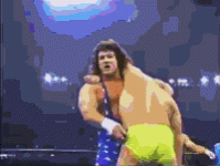ab1cdb79b24e328062fbd4b83cd42ee4_w200.gif