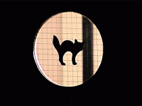 IMG_1656.gif
