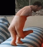 afx0ab61v2xf1.gif afx0ab61v2xf1.gif