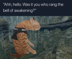 644535076_1740084397483710_1620800965153841081_n (1).webp