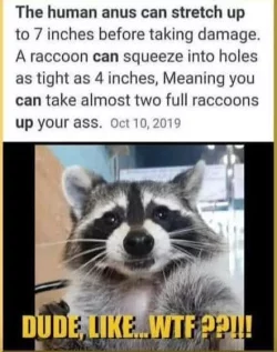 712644225_27471755762416201_8256121651798989896_n.webp 712644225_27471755762416201_8256121651798989896_n.webp