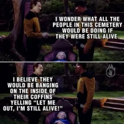 stillalive.webp