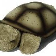 BenedictTurtle